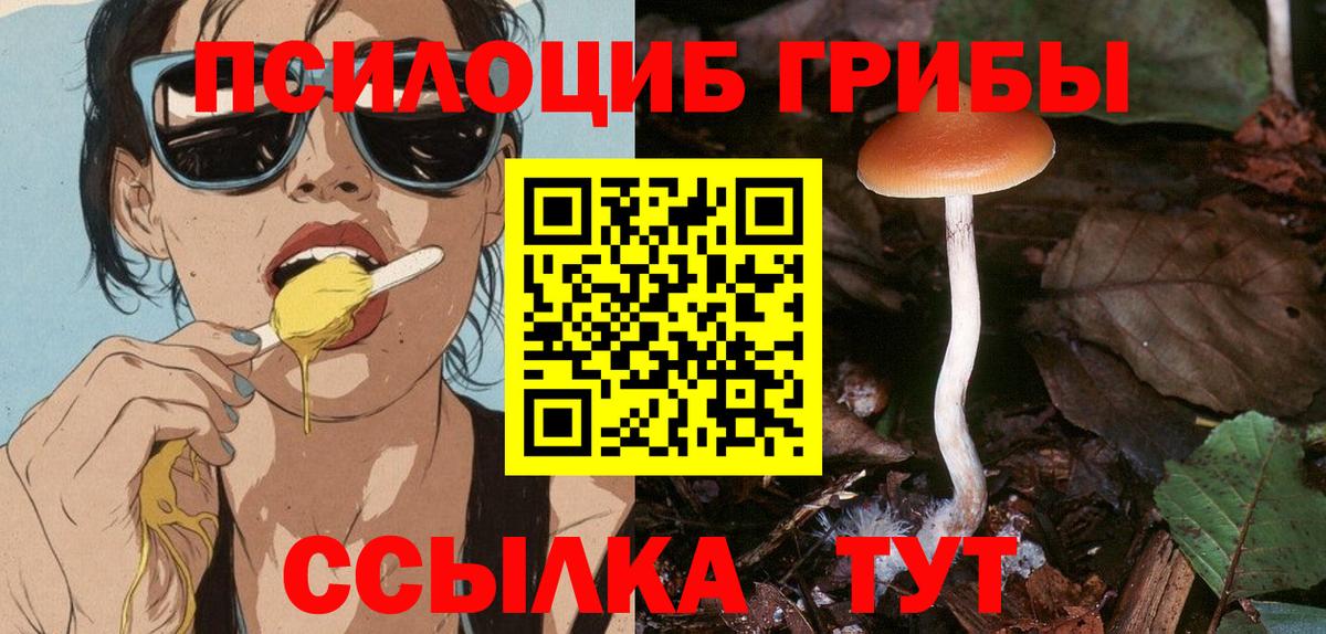 Псилоцибиновые грибы Psilocybine cubensis  Вход с VPN  Подольск  Псилоцибиновые грибы Cubensis 