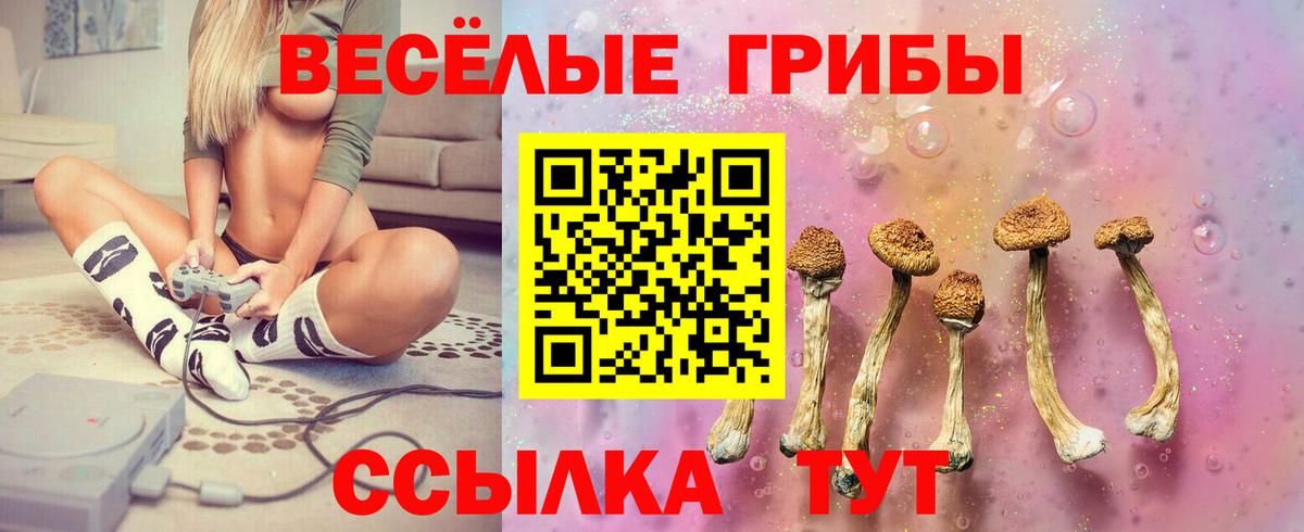 Галлюциногенные грибы GOLDEN TEACHER Подольск